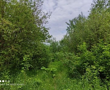 превью Земельный участок 3 600 м² фото 1