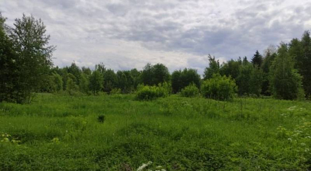 Земельный участок 3 600 м² фото 1