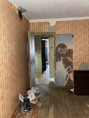 2-к квартира площадью 49 м² фото 24296