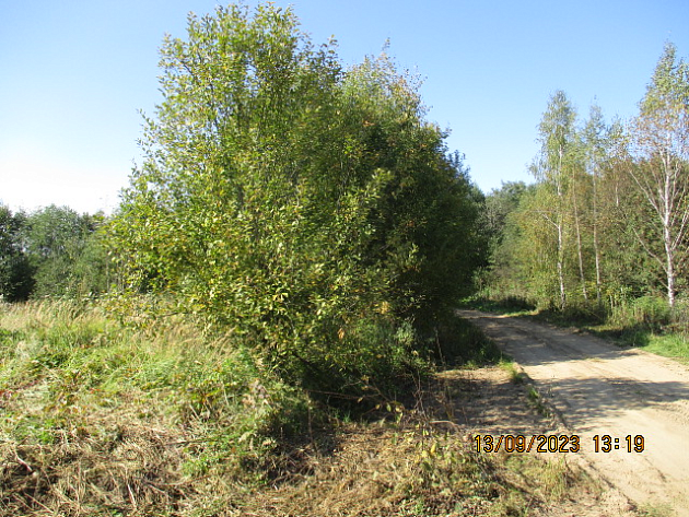 Земельный участок 1 884 м² фото 97325