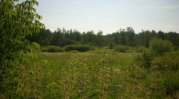 Земельный участок 7 000 м² фото 1