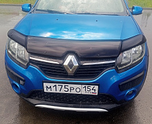 превью Renault Sandero Stepway фото 1 