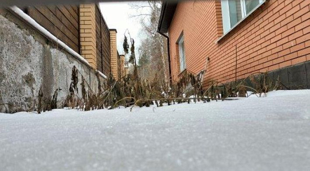 Земельный участок 59 м² фото 1