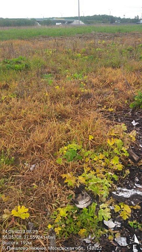 Земельный участок 1 014 889 м² фото 1