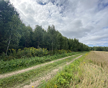 превью Земельный участок 95 768 м² фото 1