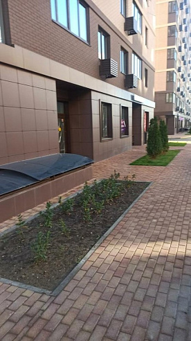 3-к квартира площадью 69 м² фото 74620