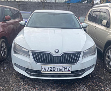 превью Skoda Superb фото 1 