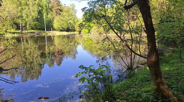 Земельный участок 124 091 м² фото 88384