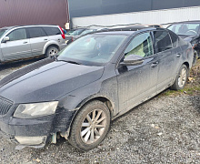 превью Skoda Octavia фото 1