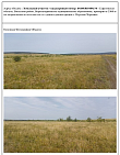 превью Земельный участок 53 900 м² фото 2