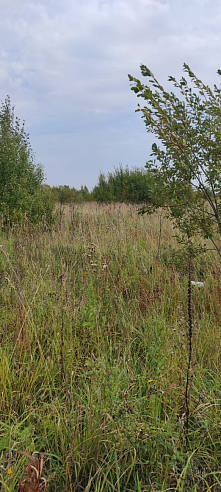 Земельный участок 1 620 м² фото 1