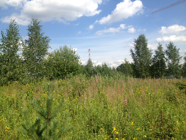 Земельный участок 9 132 м² фото 1