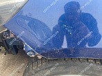 превью Kia Rio фото 6