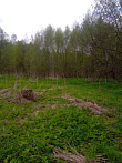 превью Земельный участок 1 002 м² фото 1
