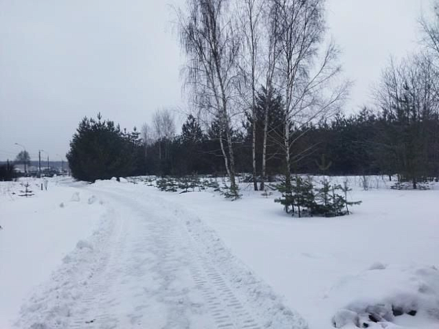 Земельный участок 3 200 м² фото 64157