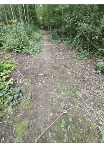 Земельный участок 800 м² фото 97482