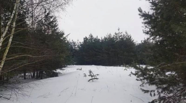 Земельный участок 3 200 м² фото 53529