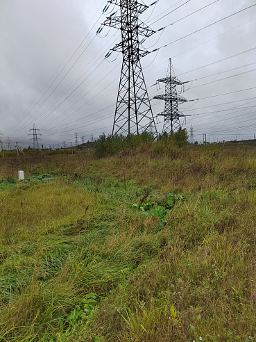 Земельный участок 11 786 м² фото 78127