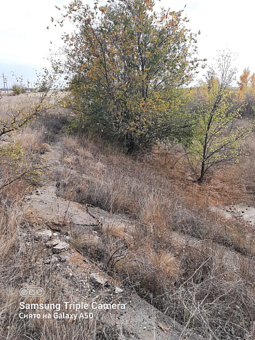 Промышленный комплекс  площадью 10 360 м² фото 99524