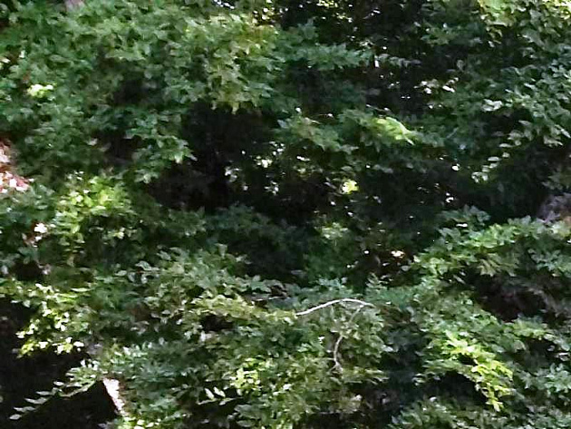 База отдыха/Санаторий  площадью 60 458 м² фото 72971