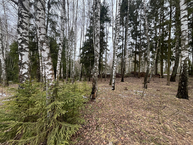 Земельный участок 2 000 м² фото 72339