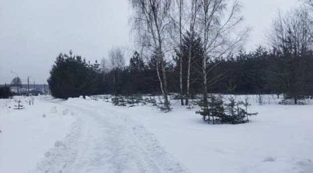 Земельный участок 3 200 м² фото 53528