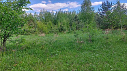 превью Земельный участок 27 100 м² фото 4