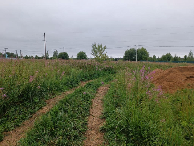 Земельный участок 3 045 м² фото 53735