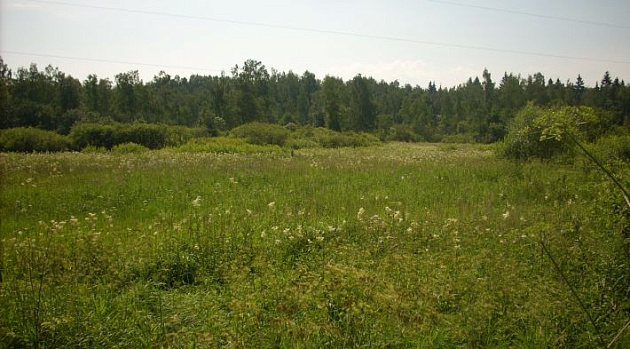 Земельный участок 7 000 м² фото 53784