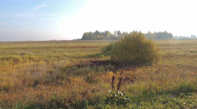 Земельный участок 3 021 902 м² фото 1