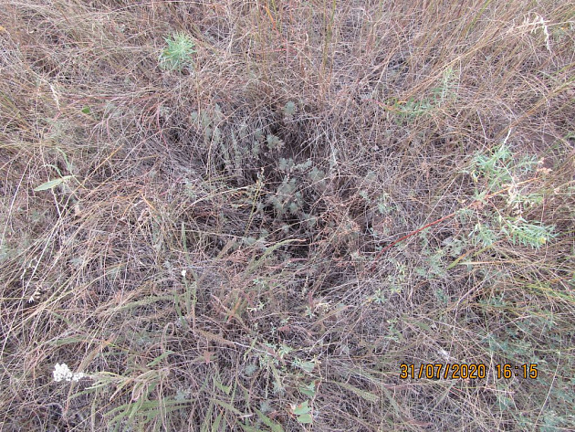 Промышленный комплекс  площадью 10 360 м² фото 99526