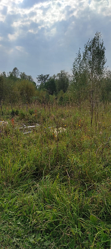 Земельный участок 1 620 м² фото 60946