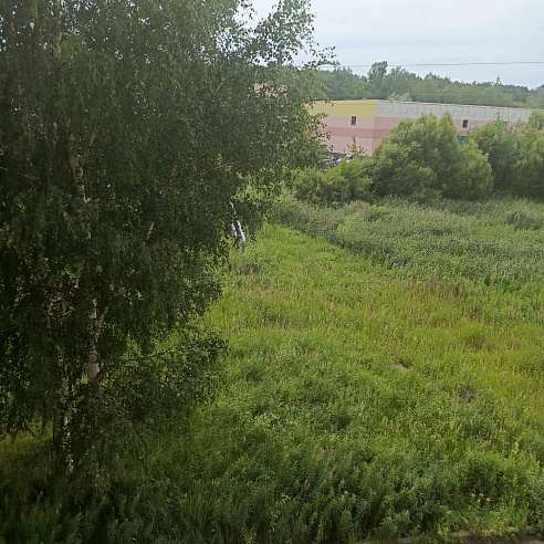 3-к квартира площадью 49 м² фото 68655