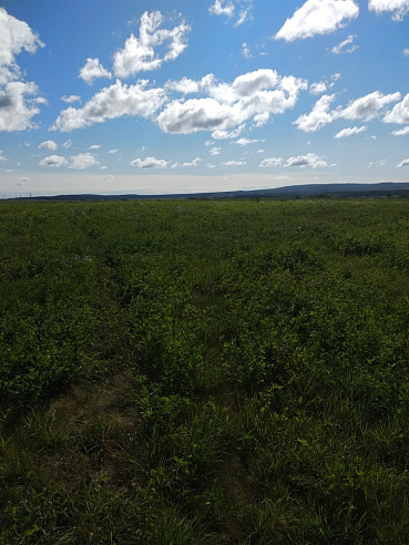 Земельный участок 3 106 м² фото 1