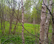 превью Земельный участок 1 002 м² фото 1