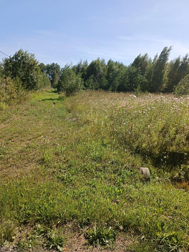 Земельный участок 3 551 м² фото 59032