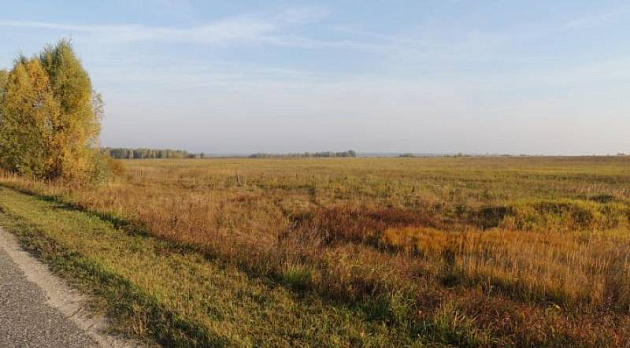 Земельный участок 3 021 902 м² фото 24442