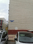 превью Квартира  площадью 48 м² фото 1