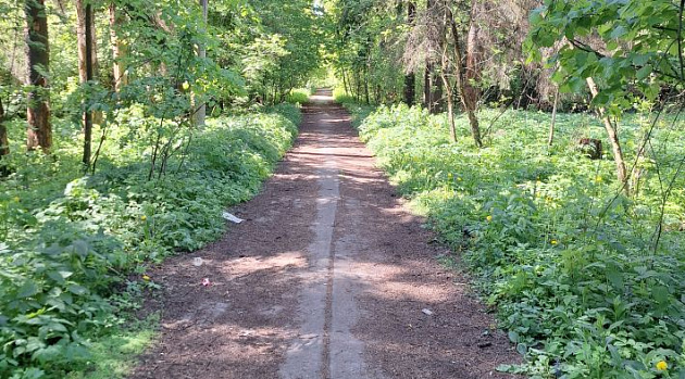 Земельный участок 124 091 м² фото 1