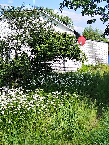 Дом  площадью 70 м² фото 87482