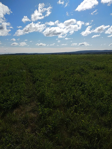 Земельный участок 32 000 м² фото 1