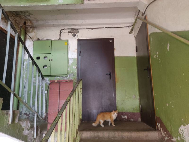 2-к Квартира  площадью 50 м² фото 101922