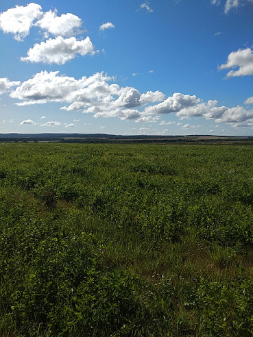 Земельный участок 32 000 м² фото 53665