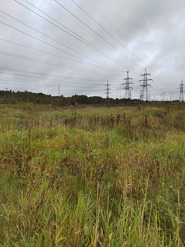 Земельный участок 11 786 м² фото 1