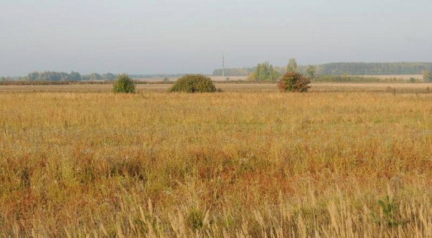 Земельный участок 3 021 902 м² фото 24441