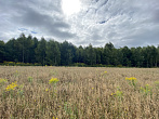 превью Земельный участок 95 768 м² фото 4