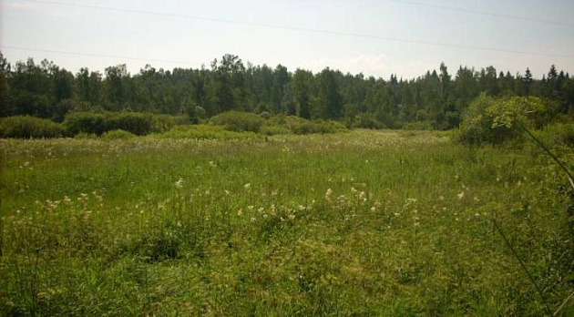 Земельный участок 7 000 м² фото 53537