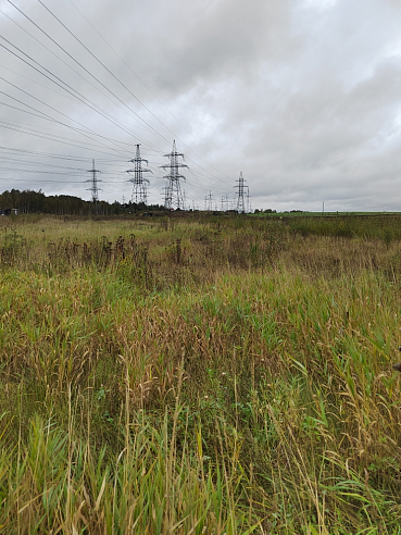 Земельный участок 11 786 м² фото 78128