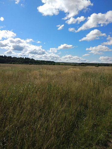 Земельный участок 3 106 м² фото 53663