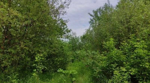 Земельный участок 3 600 м² фото 1